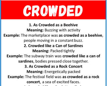 20 Best Similes for Crowded (With Meanings & Examples)