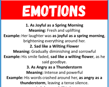 20 Best Similes for Emotions (With Meanings & Examples)