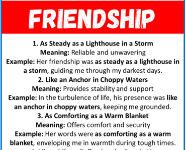 20 Best Similes for Friendship (With Meanings & Examples)