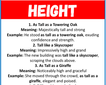 20 Best Similes for Height (With Meanings & Examples)