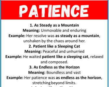 20 Best Similes for Patience (With Meanings & Examples)