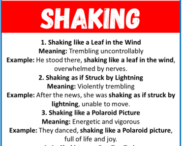 20 Best Similes for Shaking (With Meanings & Examples)
