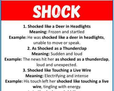 20 Best Similes for Shock (With Meanings & Examples)