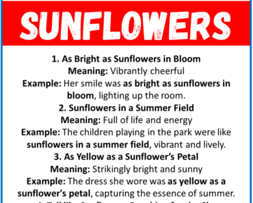 20 Best Similes for Sunflowers (With Meanings & Examples)