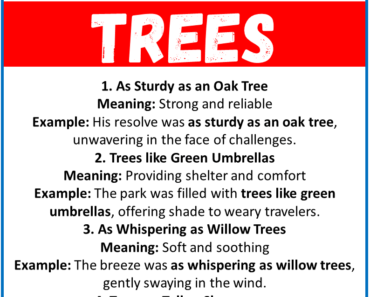 20 Best Similes for Trees (With Meanings & Examples)