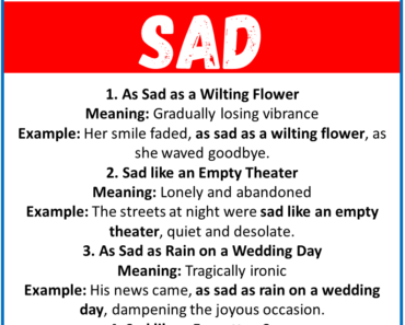 20 Best Similes for Sad (With Meanings & Examples)