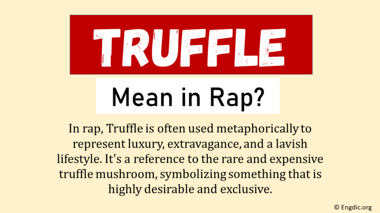 what-does-truffle-mean-in-rap-origin-usage-engdic