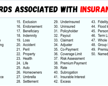 50 Words Associated With Insurance