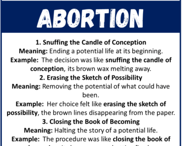 20 Best Metaphors for Abortion (With Meanings & Examples)