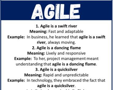 20 Best Metaphors for Agile (With Meanings & Examples)