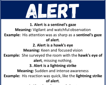 20 Best Metaphors for Alert (With Meanings & Examples)