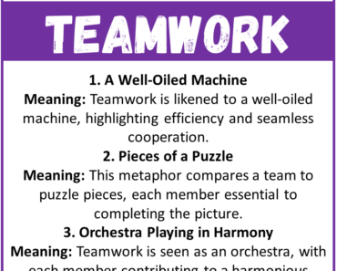 Top 50 Metaphors for Teamwork With Meaning