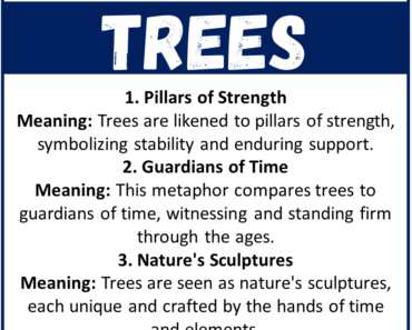 Top Metaphors for Trees with Meaning