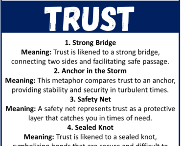 Top Metaphors for Trust with Meaning