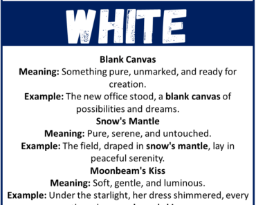 Metaphors for White (With Meanings & Examples)