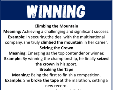 Metaphors for Winning (With Meanings & Examples)