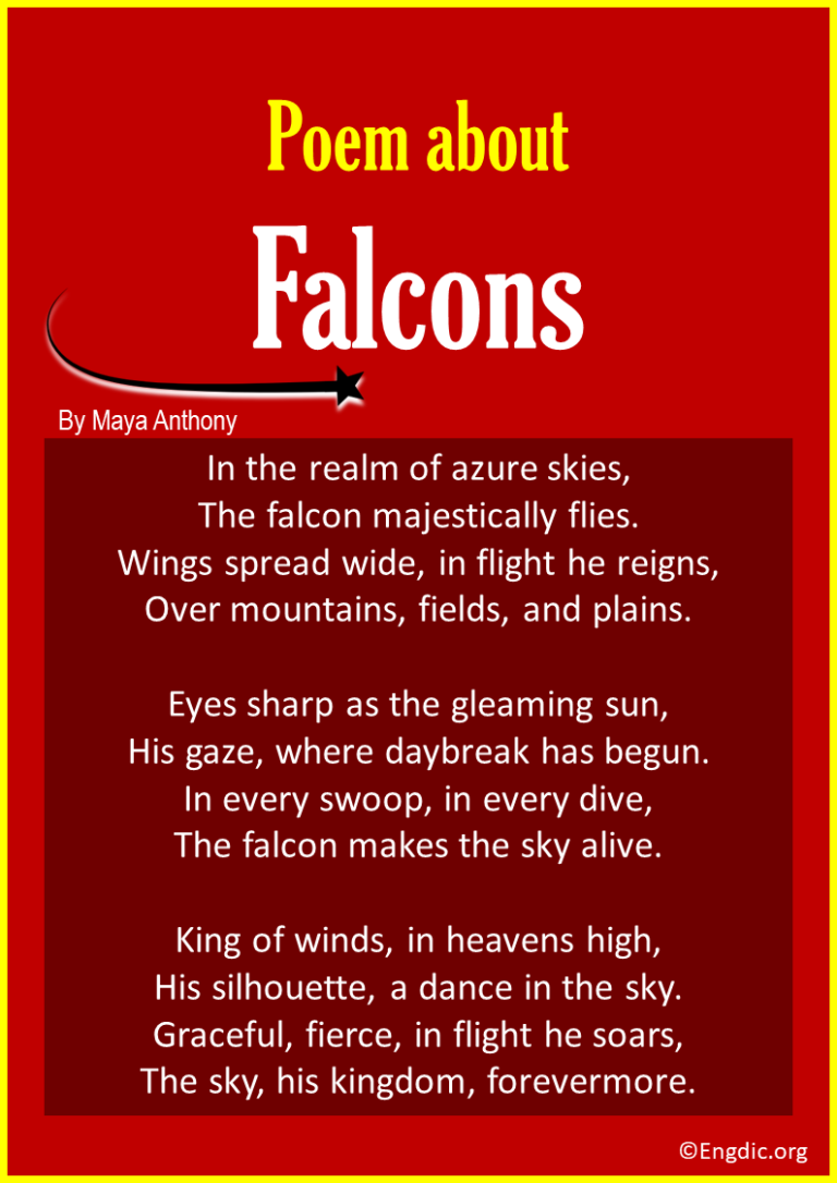 10 Best Short Poems About Falcons - EngDic