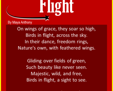 10 Best Short Poems About Flight