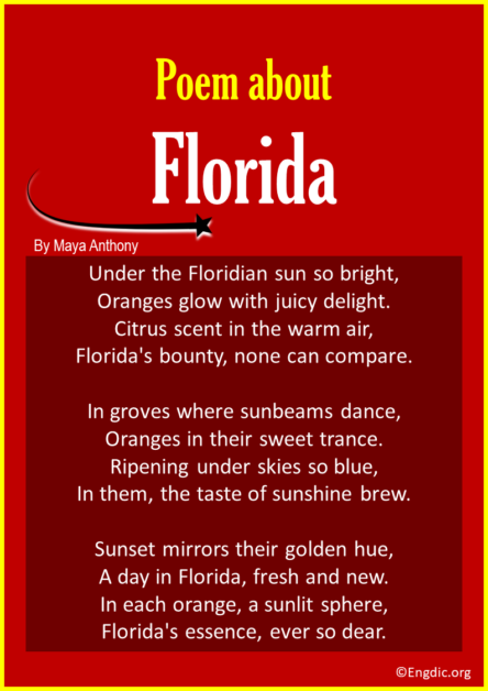 10 Best Short Poems About Florida - EngDic