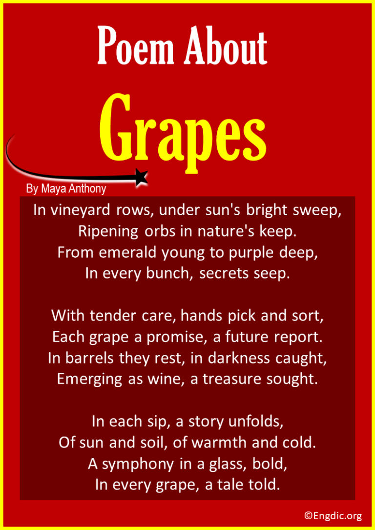 10 Best Short Poems About Grapes - EngDic