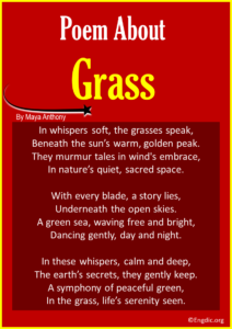 Picture of 10 Best Short Poems About Grass - EngDic