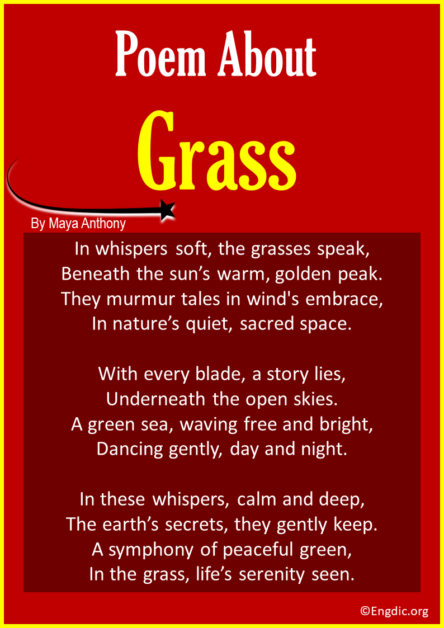 10 Best Short Poems About Grass - EngDic