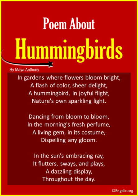 10 Best Short Poems about Hummingbirds - EngDic