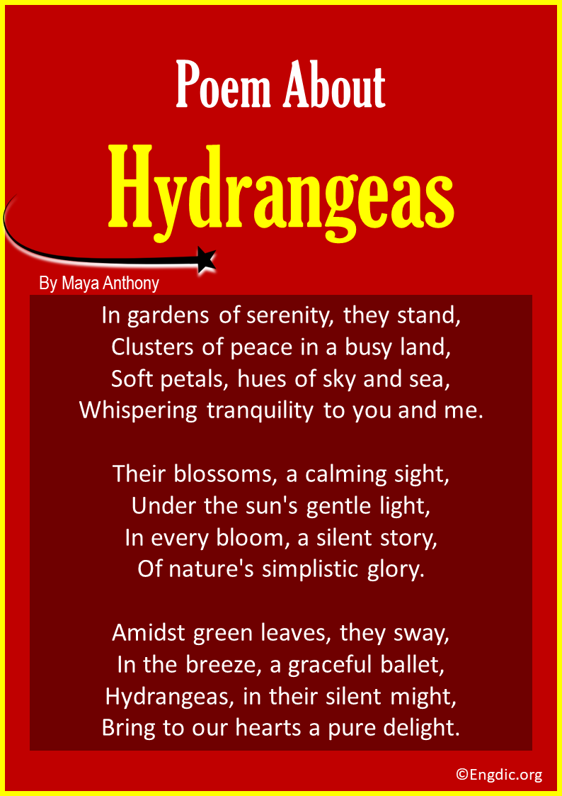 poems about Hydrangeas