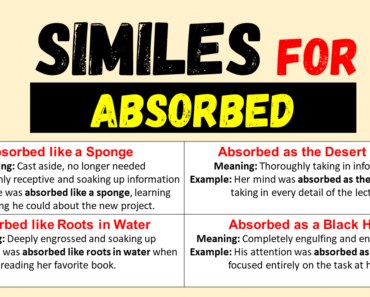 20 Best Similes for Absorbed (with Meanings and Examples)