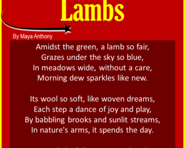 10 Best Short Poems about Lambs