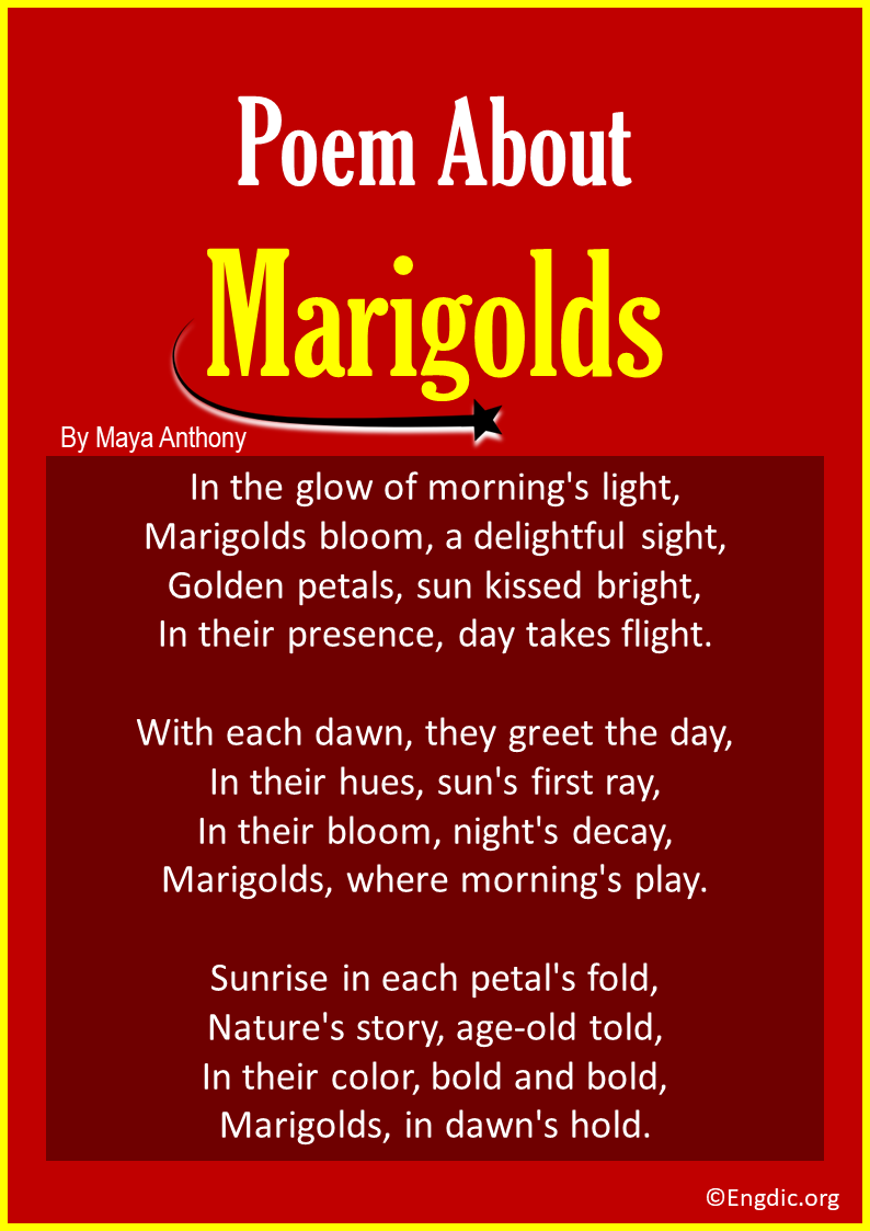 poems about Marigolds