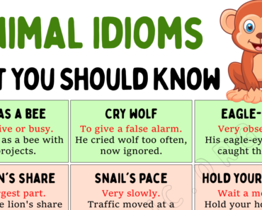 20 Interesting Animal Idioms & Phrases Everyone Should Learn!