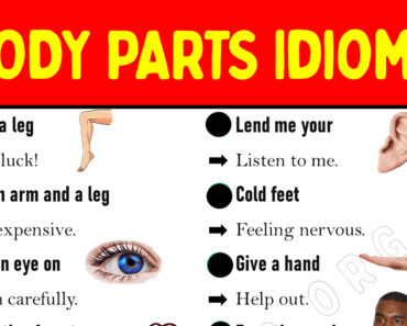 Learn Interesting Idioms with Body Parts!