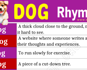 Words that Rhyme with Dog (Dog Rhyme Words)