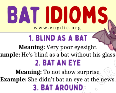 Bat Idioms (With Meaning and Examples)