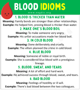 Blood Idioms (With Meaning and Examples) EngDic
