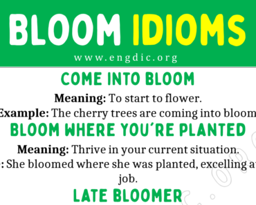 Bloom Idioms (With Meaning and Examples)