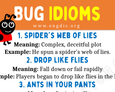 Bug Idioms (With Meaning and Examples)