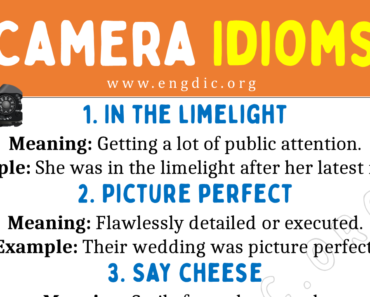 Camera Idioms (With Meaning and Examples)