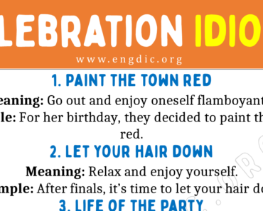 Idioms for Celebration (With Meaning and Examples)