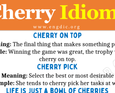 Cherry Idioms (With Meaning and Examples)