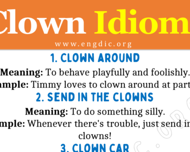 Idioms about Clown (With Meaning and Examples)