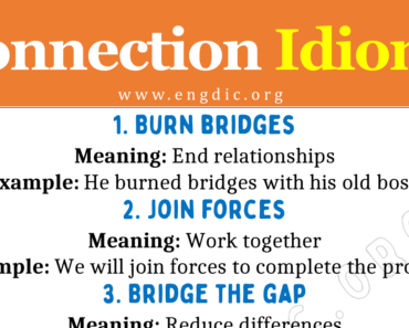 Connection Idioms (With Meaning and Examples)