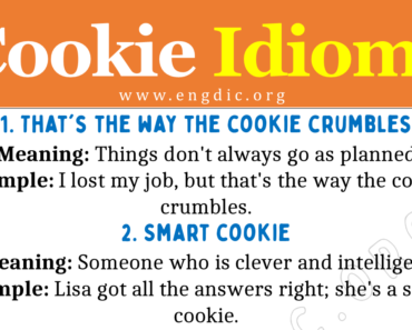 Idioms about Cookie (With Meaning and Examples)