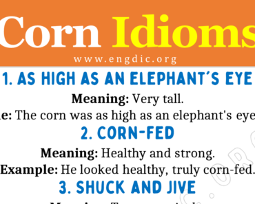 Idioms about Corn (With Meaning and Examples)