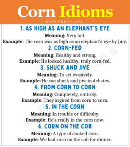 Idioms about Corn (With Meaning and Examples) - EngDic