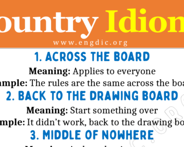 Idioms about Country (With Meaning and Examples)
