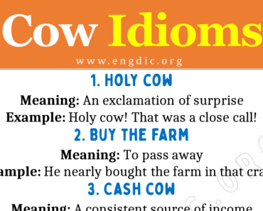 Idioms about Cow (With Meaning and Examples)
