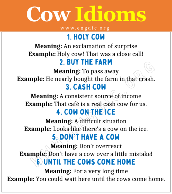 Idioms about Cow (With Meaning and Examples) - EngDic