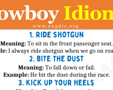 Idioms about Cowboy (With Meaning and Examples)